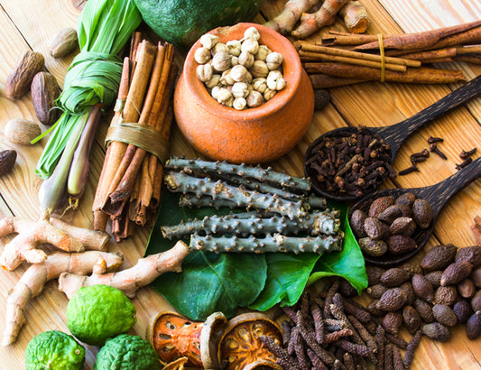 The Basics of Ayurveda for Holistic Well-being